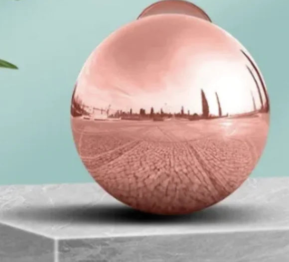 QuietCarry™ Lint & Pet Hair Remover